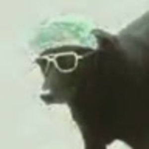 Meet your Posher, Raymond